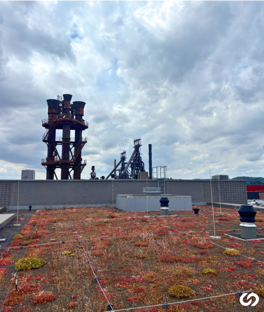 Point d'ancrage et lignes de vie sur site industriel